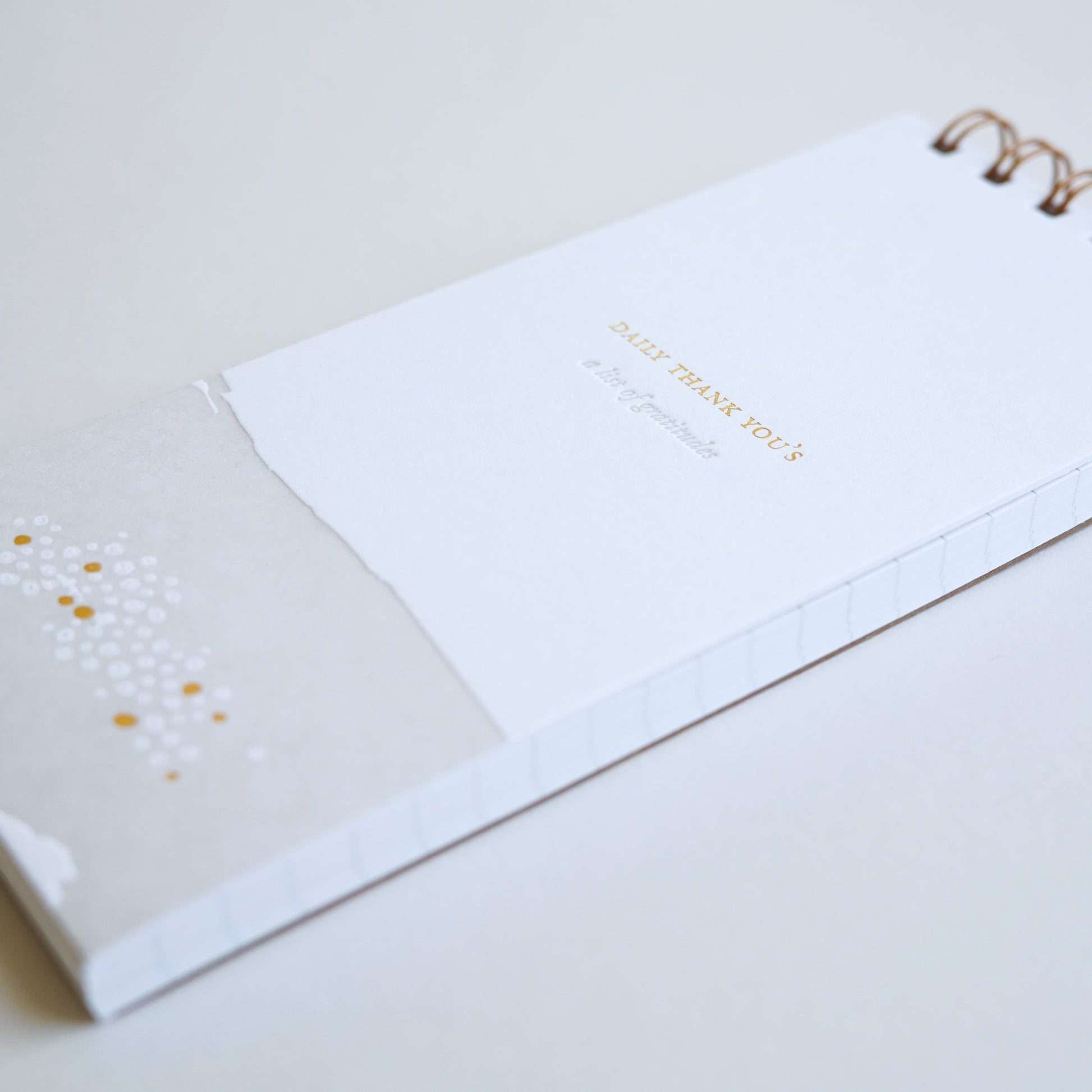 Daily Thank You's Lined Notebook