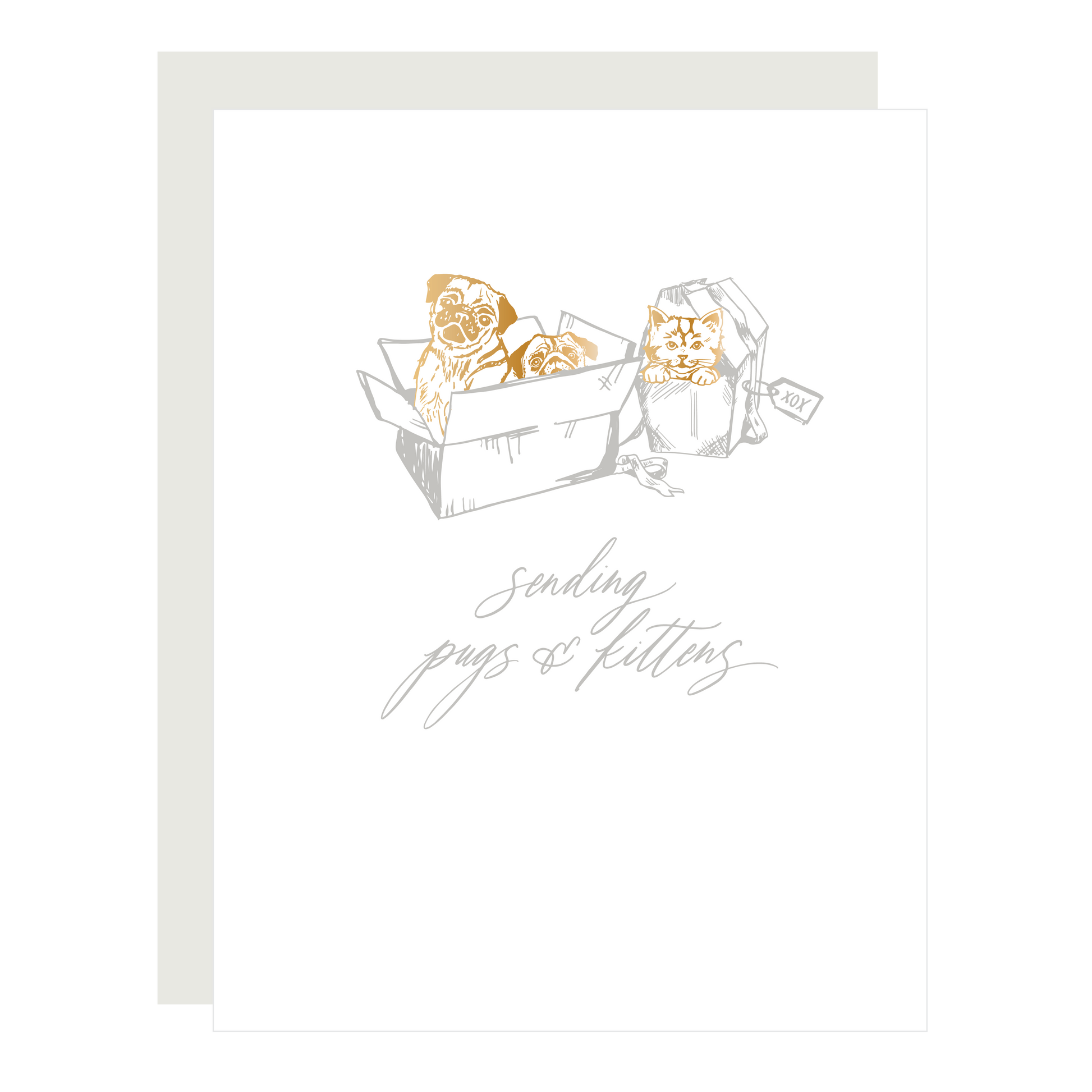 Sending Pugs & Kittens