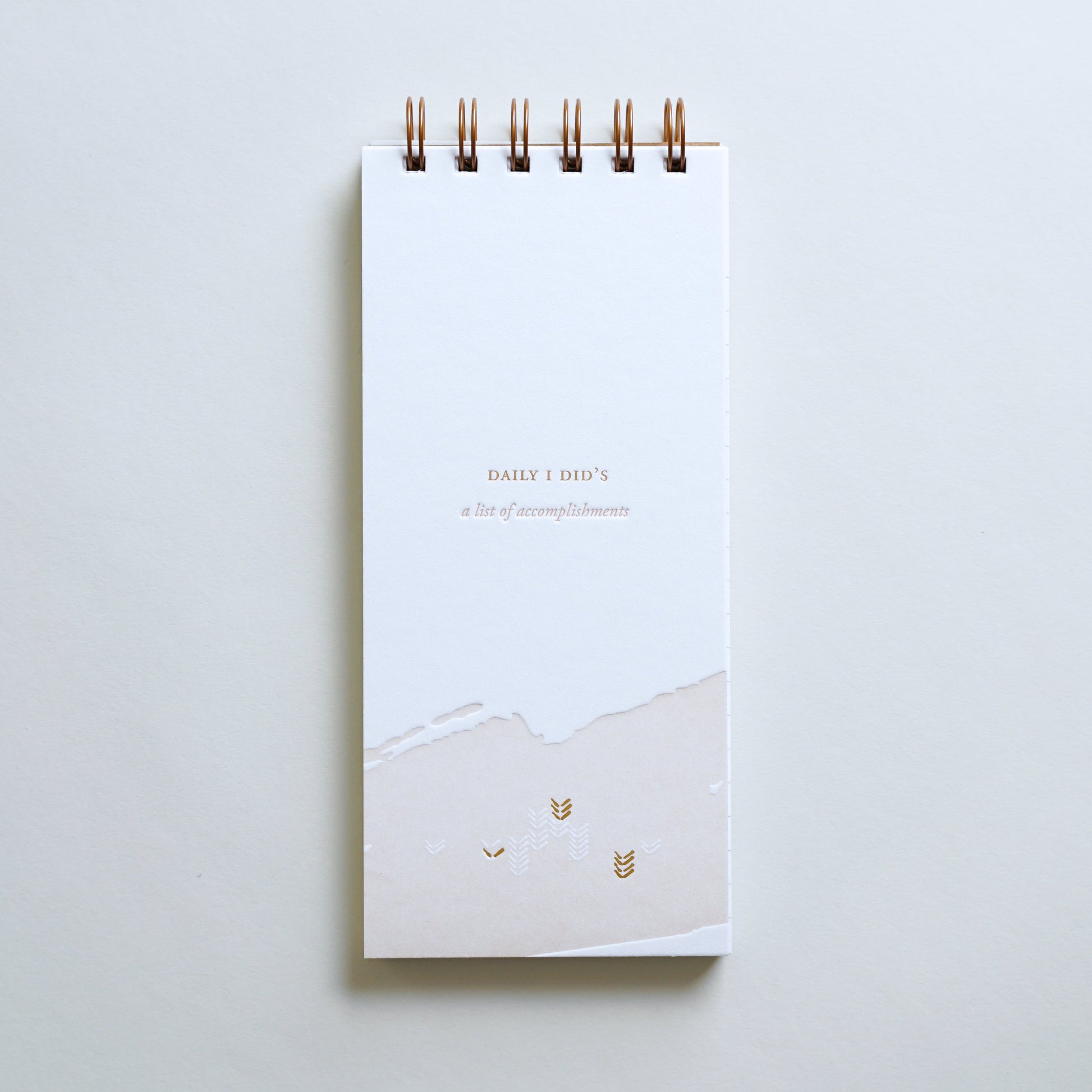 Daily I Did's Lined Notebook